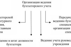 Организация ведения бухгалтерского учета