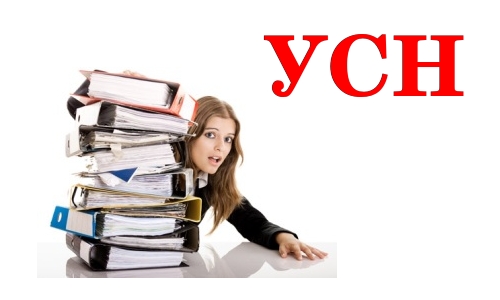 Сбор налоговых документов при УСН