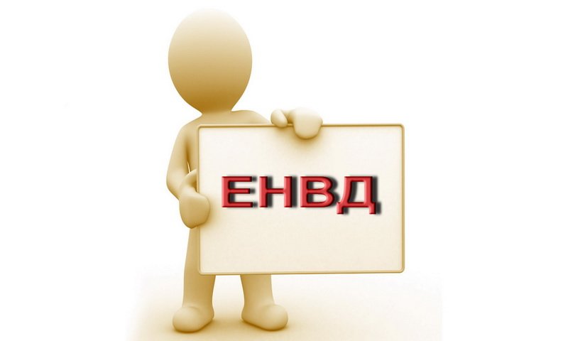 Применение ЕНВД для ИП