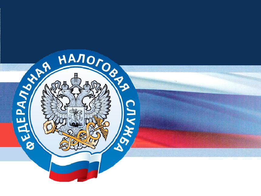 Проверка ОГРН на сайте ФНС