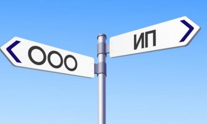 Выбор между ИП и ООО