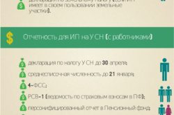 Сдача отчетности на УСН