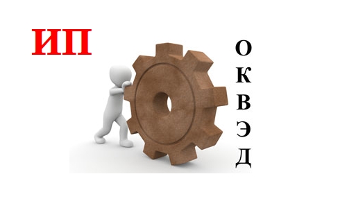 Выбор деятельности и присвоение кодов ОКВЭД ИП