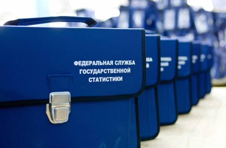 Получение информации о кодах ОКВЭД через органы статистики