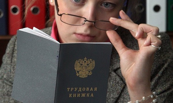 Трудовой стаж при работе в ИП