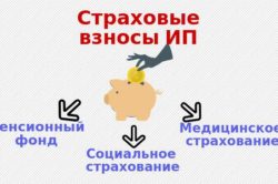 Обязанность ИП по выплате страховых взносов
