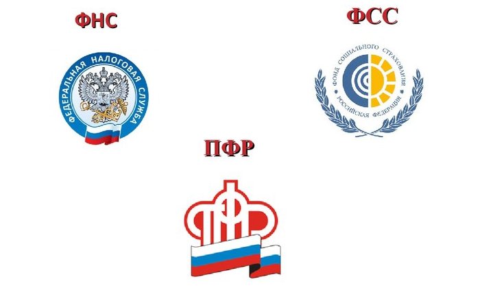 Сдача отчетности в ПФР, ФСС и ФНС
