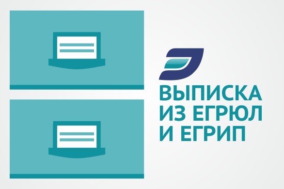 Получение выписки из ЕГРИП