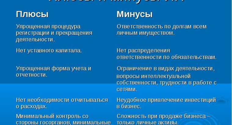 Плюсы и минусы ИП