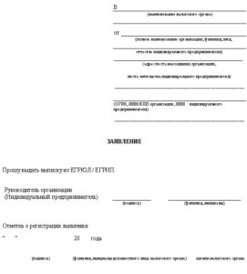 Заявление на получение выписки с ЕГРИП