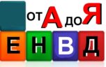 Как происходит оплата ЕНВД для ИП?