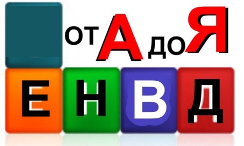Как происходит оплата ЕНВД для ИП?