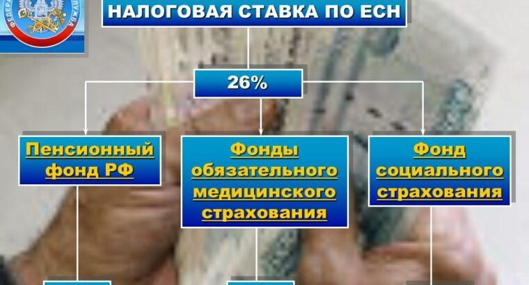 Налоговая ставка по ЕСН