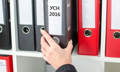 Каковы виды УСН для ИП?