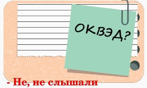Что представляет собой ОКВЭД на УСН для ИП?