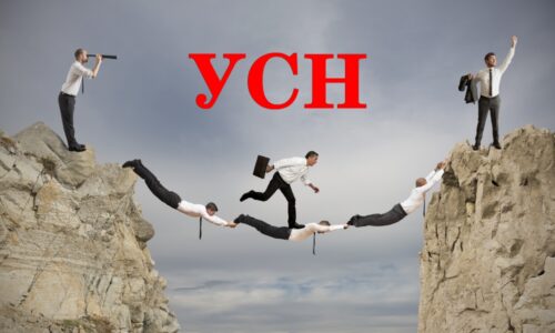 Заполнение уведомления о переходе на УСН для ИП